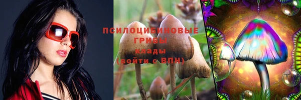 гидропоника Абдулино