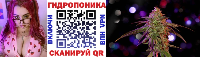 Бошки марихуана Amnesia Ладушкин